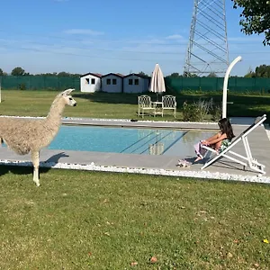  Bed & Breakfast Iris Italia